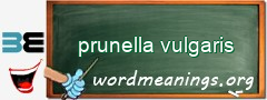 WordMeaning blackboard for prunella vulgaris